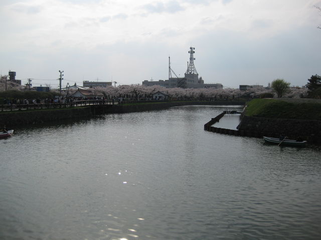 �x_�ܗŊs����