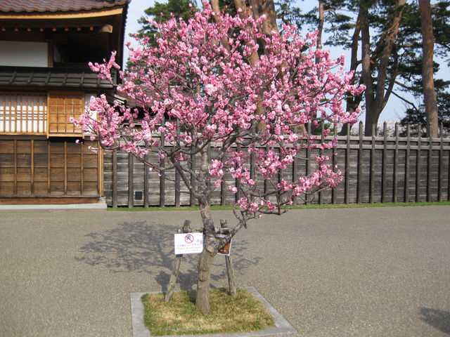 ���j����~_�ܗŊs��