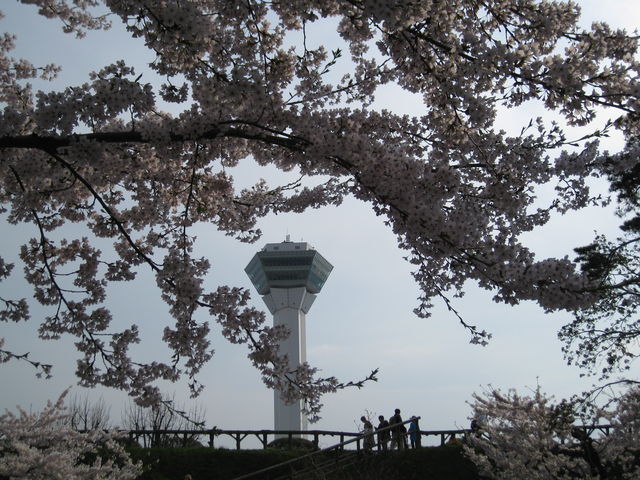 ���ƃ^���|_�ܗŊs��