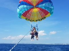 ԁ[񂳂CoCoMarineւ̓eʐ^1