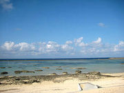 ���i����̑匴�V�����l�̓��e�ʐ^1