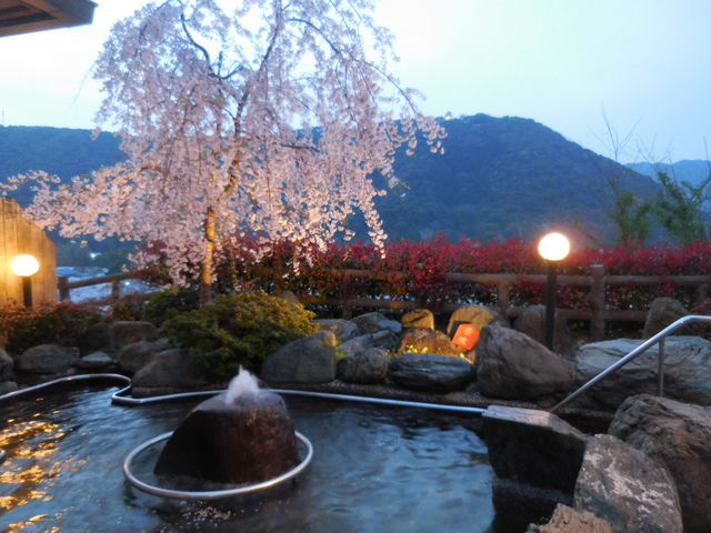 �I�V���C_�⍑���ۊό��z�e��