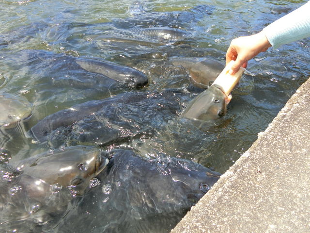 �싽���Y�Z���^�[