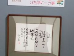 ׃Ȃc݂pقւ̓eʐ^1