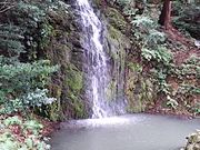 �T�[�x���^�C�K�[����̖k�������ق̓��e�ʐ^1