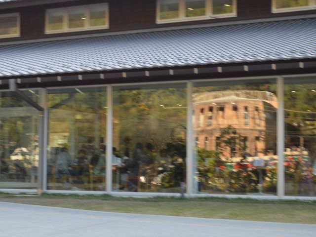 hanano̍599~[WA̓eʐ^1