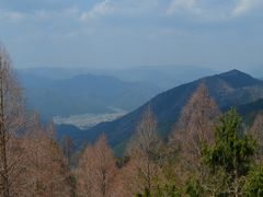 hanano����̃K�[�f���~���[�W�A����b�ւ̓��e�ʐ^1