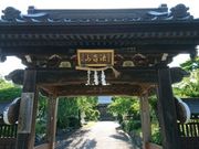 e񂳂̏򎛂̃IncLC`E̓eʐ^1