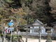 sumiさんの絹巻神社の暖地性原生林の投稿写真1