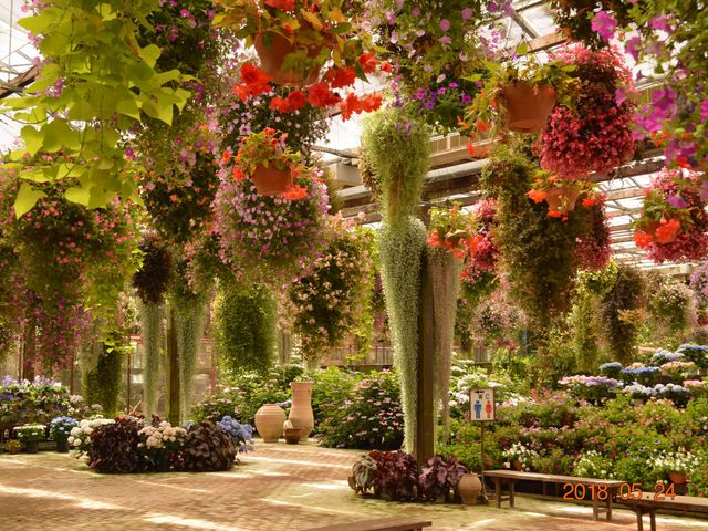 ́AV䂩瑐Ԃ񉺂Ă_ΑԒ