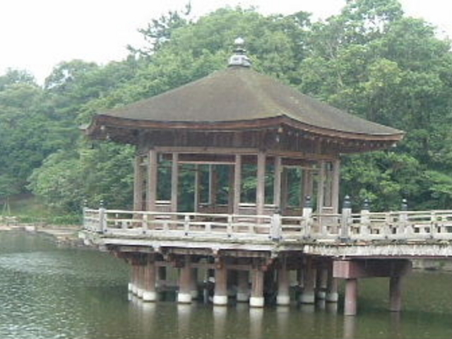 tuka����̕������̃T���X�x���̓��e�ʐ^1