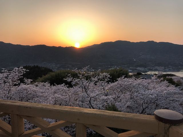 桜、台 開山の桜】アクセス・営業時間・料金情報 - じゃらんnet