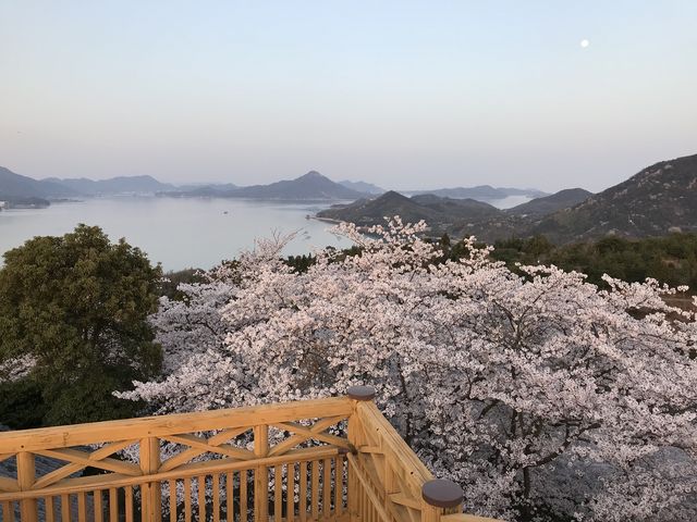 開山の桜】アクセス・営業時間・料金情報 - じゃらんnet