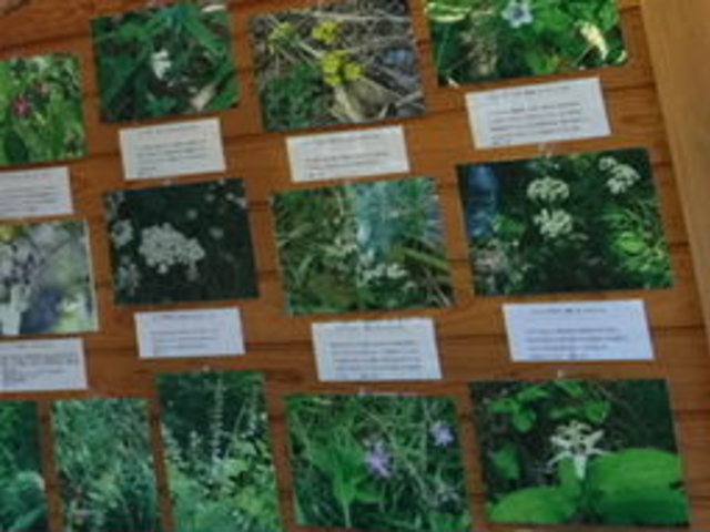 �k�R��r�W�^�[�Z���^�[_�c�씨�������ό��ē���