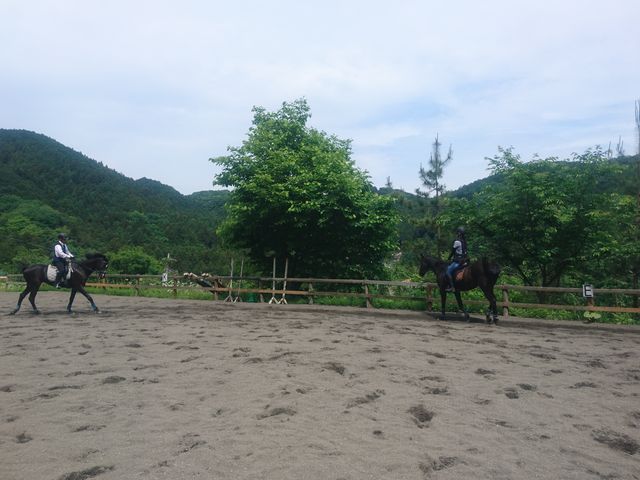 LXbXłBV̏nNuƂŌ炵͍ōłB_G~I[