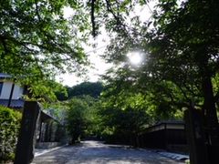 �Ђ����܂���̌������ւ̓��e�ʐ^1