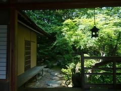 ���[��������̉痴�R���뉀�ւ̓��e�ʐ^1