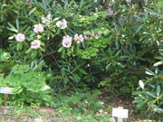 tukåxl̐XLv̓eʐ^1