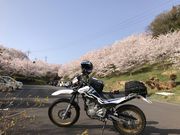 �e�c��������̊J�R�̍��̓��e�ʐ^12