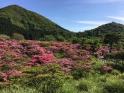 poporon̒ř̃~}LV}Q̓eʐ^3