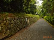 ӂȂ񂳂̈ɒJ{̓eʐ^2