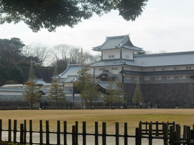 �ʐ^�Ɏ��܂肫��܂���_����� �܏\�Ԓ���