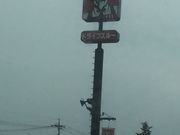 ~j}̃P^bL[tCh`Lb{X̓eʐ^1