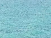 OC̊Cľ@TojN[YΊ_̓eʐ^1