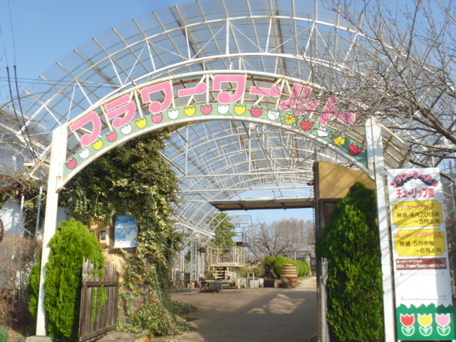 ���̓t�����[���[���h_���̓t�����[���[���h