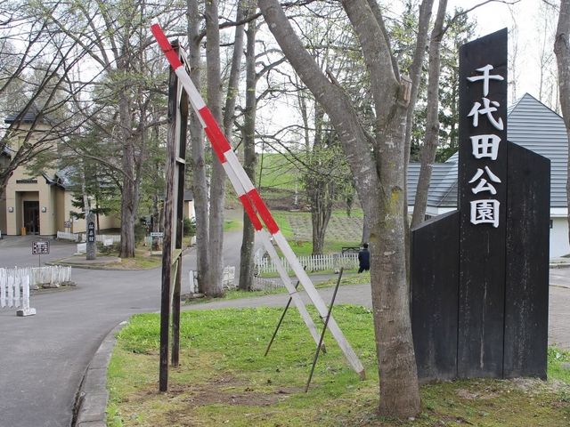 ���c����_���c����