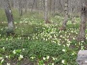 ELLĚˉBXѐAEqEz̐mԂ̓eʐ^1