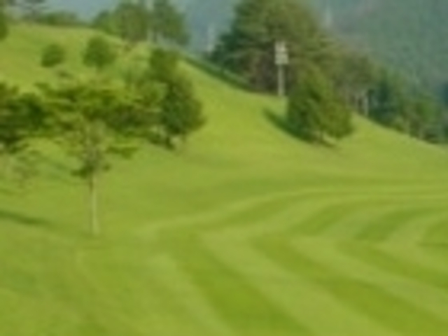 tXs[h̍qYStNu̓eʐ^1