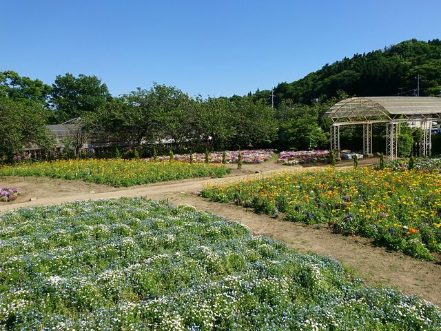 �Ԕ�_���̓t�����[���[���h