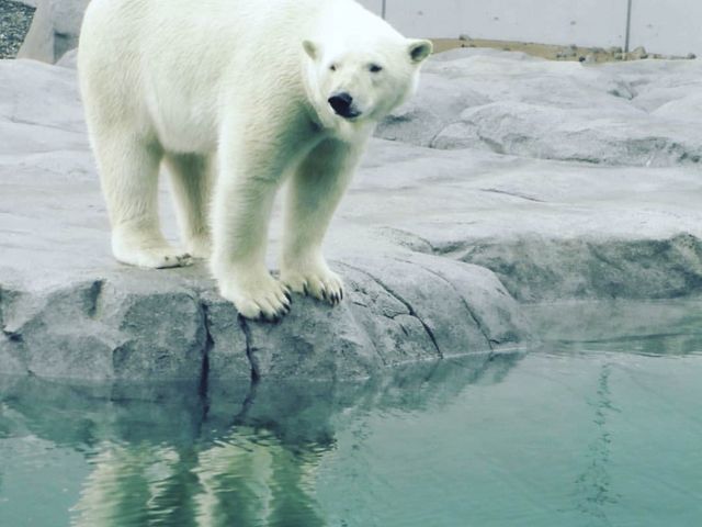 ����_�~�R������