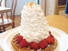 肿̃GbOXVOXÓ]̓Xւ̓eʐ^1