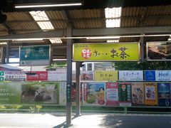 fojhpdgh����̍]�m���d�S���q�w�ւ̓��e�ʐ^1