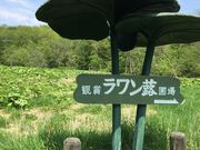 ߂߂̃uLϏ܂ُ̓eʐ^1