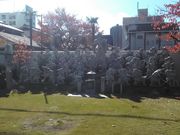 �肻�Ȃ���̋g�ˎ��̓��e�ʐ^1