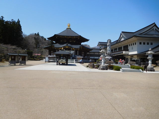 �V�����ł����������B_��`�@�� ������