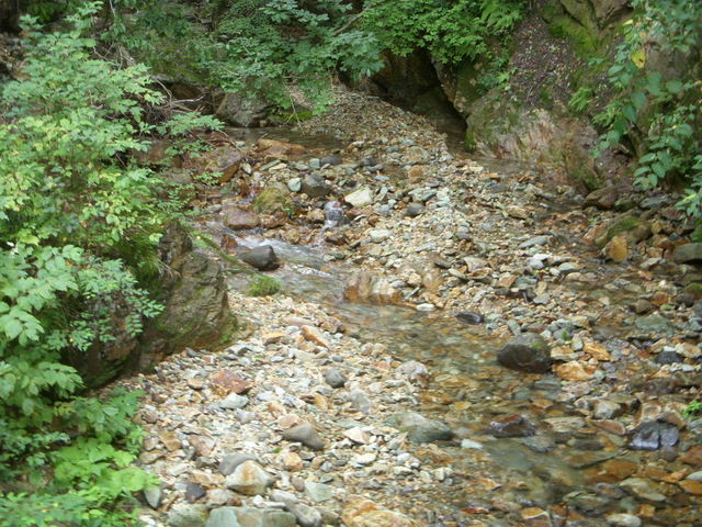 �g�t��͓����ʂ��Ă��ĂƂĂ����ꂢ�ł����B_�g�t��k�J