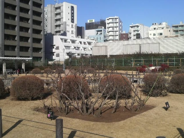 �{�������������̂΂�_�{�������������̂΂�