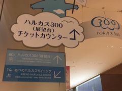 poporoñnJX300ւ̓eʐ^1