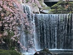 めのうさんの日本庭園（ホテルニューオータニ）の投稿写真3