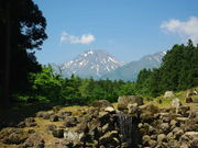 ^{剤̊֎R󑠉@Ղ̓eʐ^1