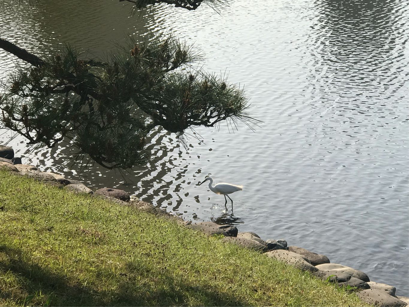 潮入の池名称 浜離宮恩賜庭園 アクセス 営業時間 料金情報 じゃらんnet