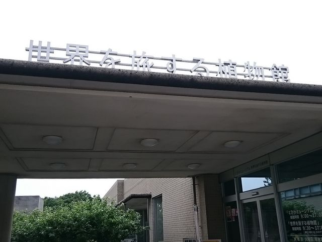 _Ƃ~[WAi΂ƉԂƒ̔فj