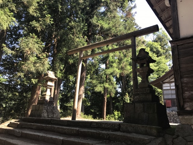 �؂̒���_���ɐ��O�{�L���_��