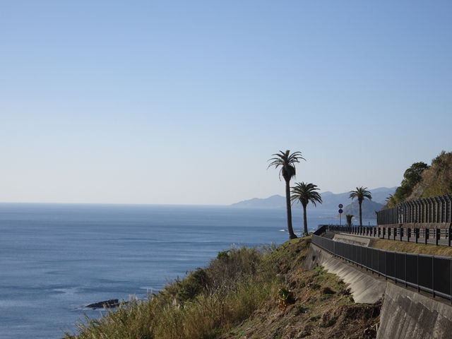 �V�C�������ƍō��ł�_�x�ؓ�