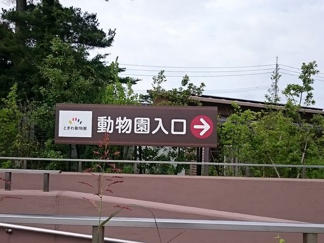 ���ʓ�������߂��ł�_�Ƃ��퓮����