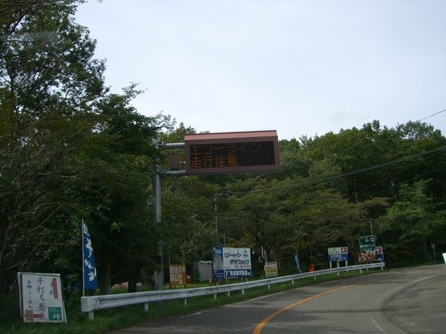 �}�J�[�u�������̂Œ��ӂł�_�����G�R�[���C��